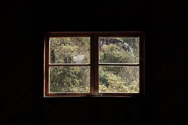 Shade of a window frame. Window with natural view
