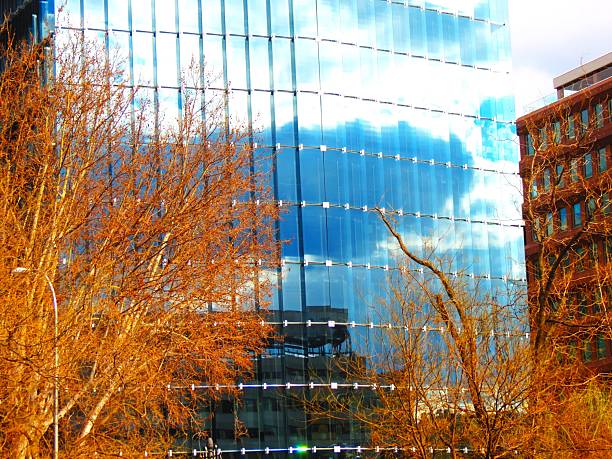 istock Skyscraper - glass building .Corporate Buildings. 2208187496