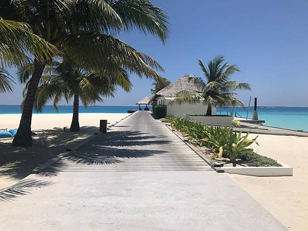 istock Island walkway to Indian Ocean 2208191524