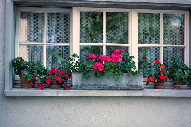 Germany-1984-35mm-Kodachrome-Windowbox