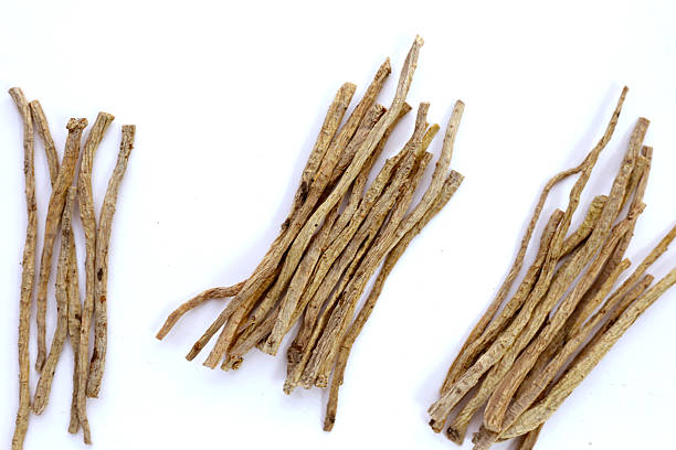 istock Dang Shen or Codonopsis pilosula, Chinese herbal medicine 2208194495