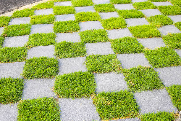 istock Walkway with a checkerboard pattern, alternating between gray pavement tiles and green grass 2208194762