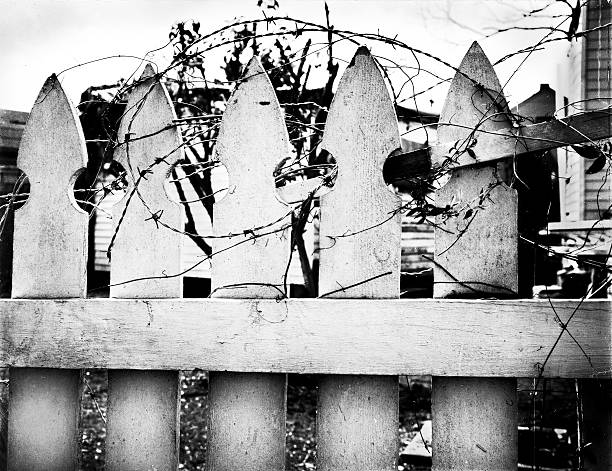 white picket fence and barbed wire
