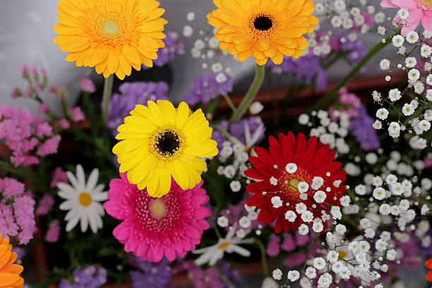 istock Beautiful flower bouquet, Flower background. 2208198590
