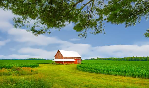 istock OLd Weathered barn with cornfield-Howard County, Indiana 2208218725
