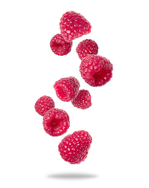 istock Levitating raspberries in the air close-up isolated on a white background 2208219779