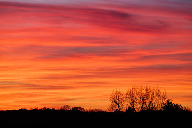 istock Vivid sunset sky with silhouetted bare trees and warm tones 2208221876