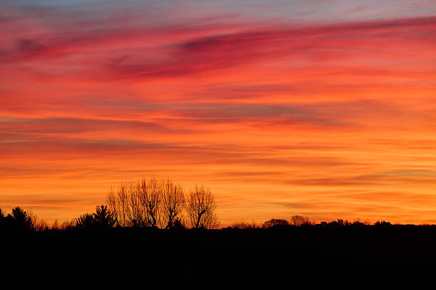 istock Vibrant sunset with colorful sky and silhouetted trees 2208221877