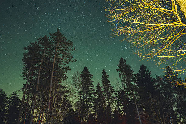 Promised Land State Park Camping