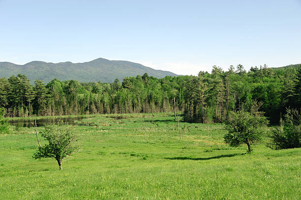 istock spring mountain, valley, river in green color 2208235150