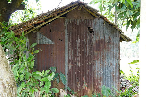 A small shed made by rusted metal sheet, possibly inside the forest
