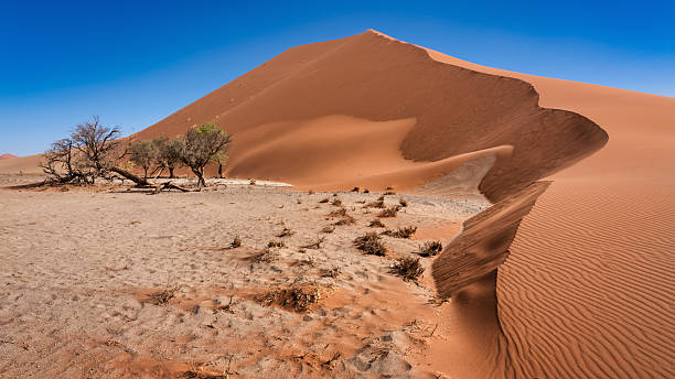 istock Namibia Giant Desert Sand Dune Dune 45 Sesriem Panorama 2208238043