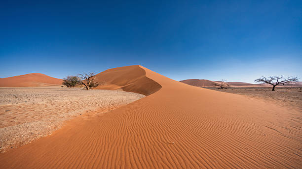 istock Namibia Dune 45 Sesriem Panorama Giant Desert Sand Dune Ultra Wide Angle 2208238083