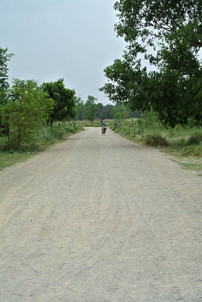 istock A wide, unpaved dirt road meanders through a green landscape with dense trees and bushes on both sides. 2208238170
