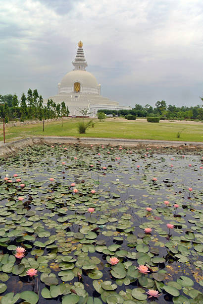 istock magnificent white stupa seems to float above a garden 2208238188