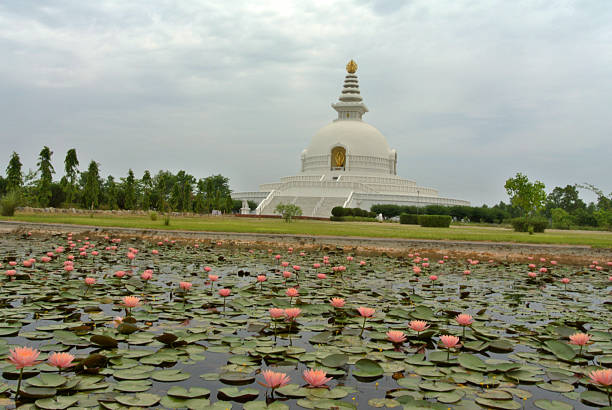 istock magnificent white stupa seems to float above a garden 2208238195