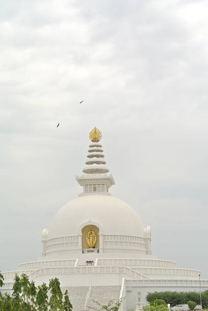istock magnificent white stupa seems to float above a garden 2208238224