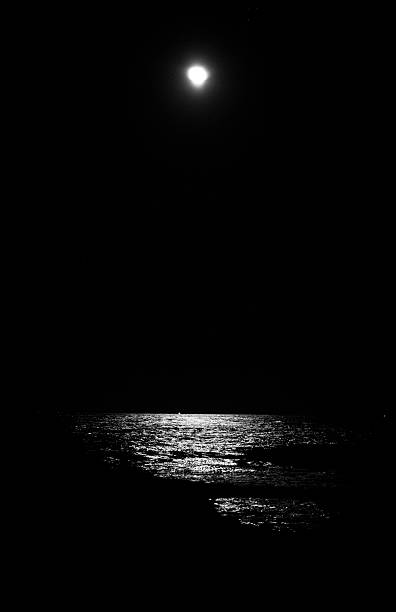 istock Tsuchinshan–ATLAS in the Night 2208238539