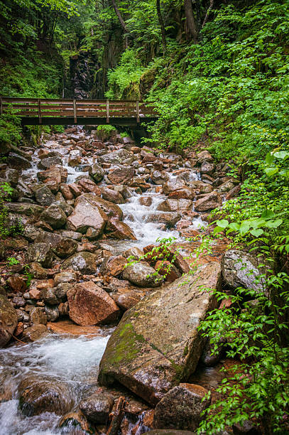 istock Waterfall at Franconia Notch State Park 2208244045
