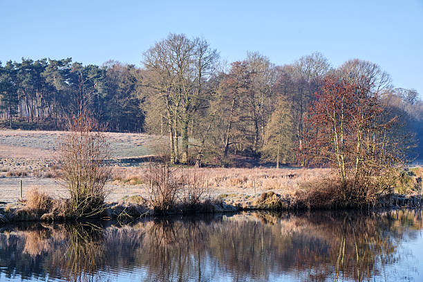 istock Scenic mill pond landscape in Germany with trees and reflections 2208248264