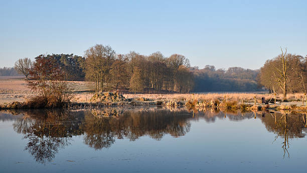 Scenic mill pond landscape in Germany with trees and reflections