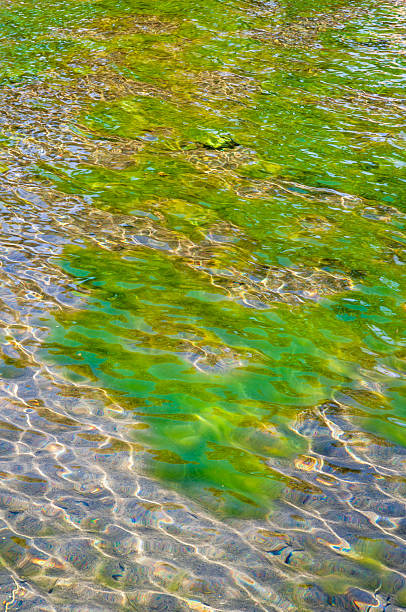 istock Rattlesnake Springs at Carlsbad Caverns National Park 2208251549