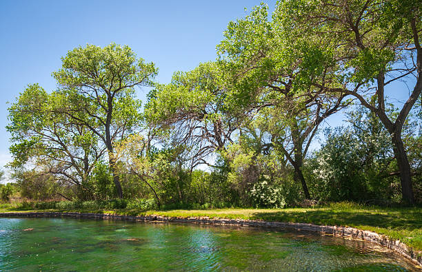 istock Rattlesnake Springs at Carlsbad Caverns National Park 2208252064