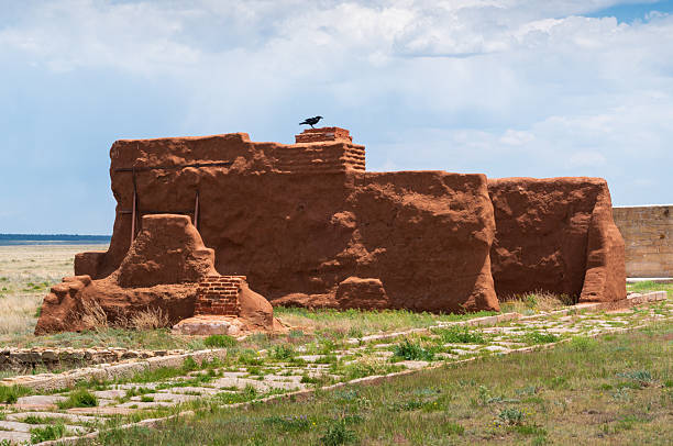 Adobe Ruins and Raven at Fort Union National Monument