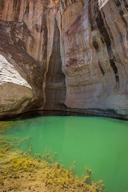 istock Water at El Morro National Monument 2208253917