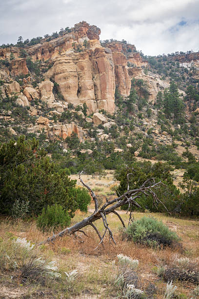 istock Cliffs and Arid Landscape, El Malpais National Monument 2208254365