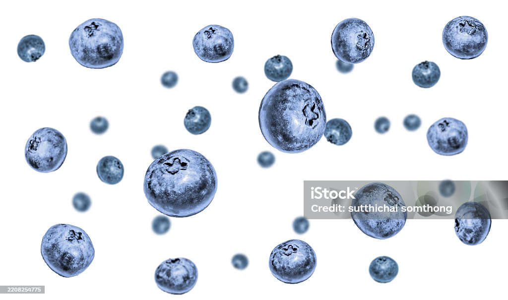 Exploding Bluberies Splash Blueberries In Air Falling Fruit Isolated On White Bg Stock ...