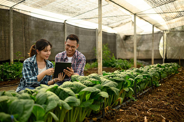 istock Modern farmers analyzing crop data on digital tablet. Concept of smart farming 2208256013