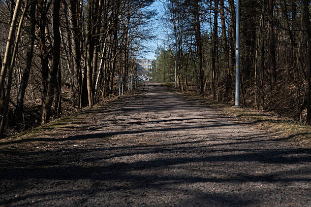 istock a tranquil forest path leads to a distant building under clear blue skies, with tall trees casting long shadows on a sunlit, gravel-covered trail, evoking a serene wilderness ambiance. far, lamp 2208256573