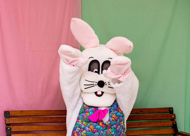 A large and furry longhair cat dressed in Easter Bunny ears and tail with a little bow tie laying on a carpet and looking up.