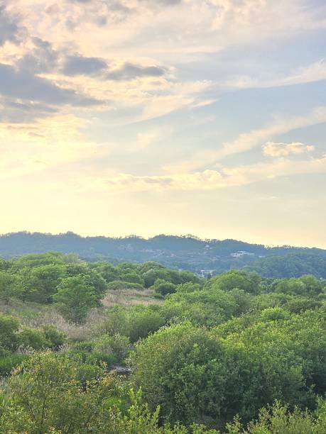 istock Lush Green Landscape with Rolling Hills 2208263969