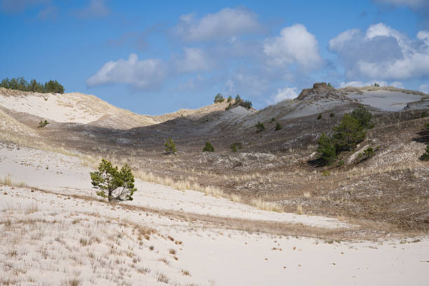 istock Sowinski National Park Sand Dunes, Poland 2208264368