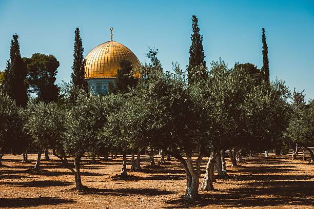 istock Dome of the Rock with Olive Trees in Jerusalem 2208267686