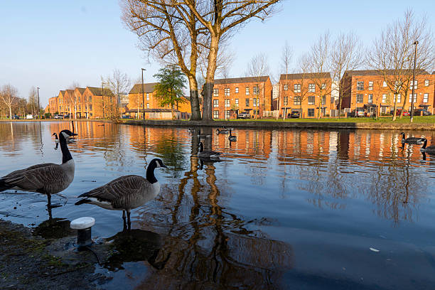 Rochdale Canal at Miles Platting (also known as Platting Village) early morning.
