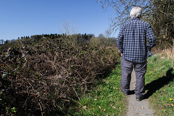 istock Senior man walking alone on a rural footpath 2208269093