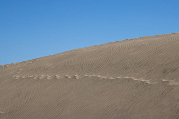 A path through the dunes to the sea