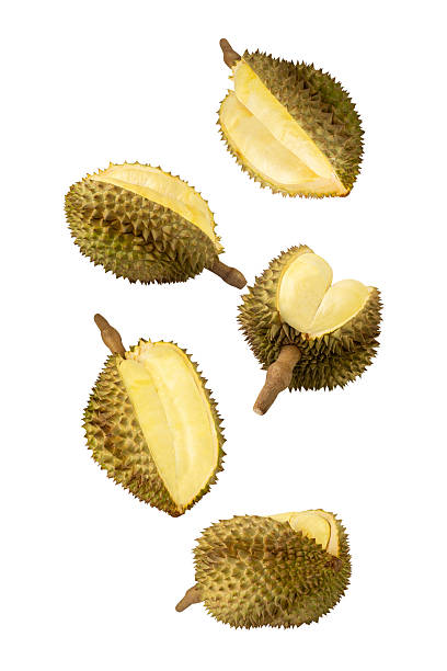 istock Falling Durian isolated on white background with clipping path, full depth of field 2208277005