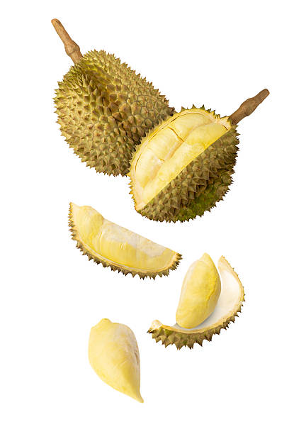 istock Falling Durian isolated on white background with clipping path, full depth of field 2208277009