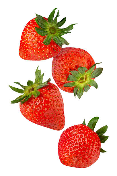 Falling Strawberry isolated on white background with clipping path, full depth of field.
