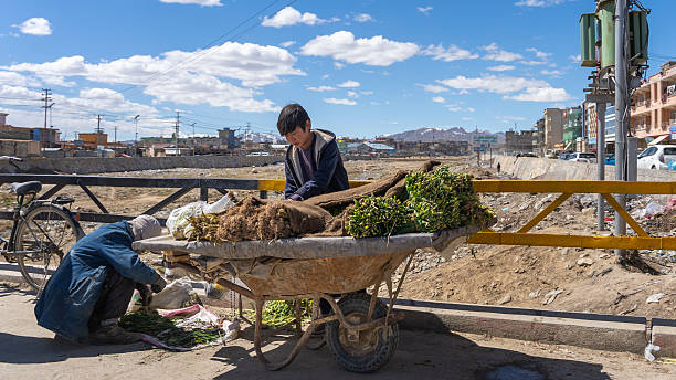 Ghazni, Afghanistan, March 15, 2025, vegetable seller boy, Afghanistan