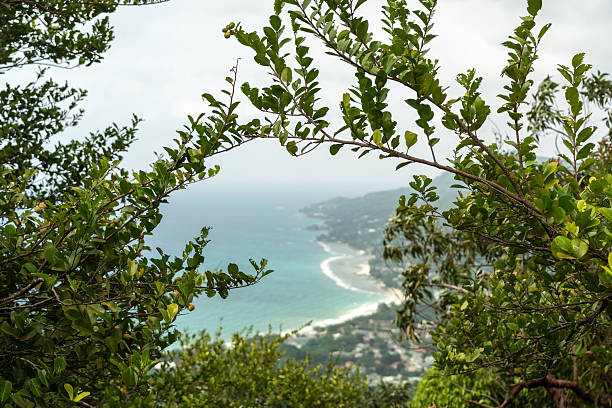 Panoramic views from Dans Gallas Trail on Mahe, Seychelles, overlooking lush forest, mountains, and coast line with turquoise sea and tropical vegetation