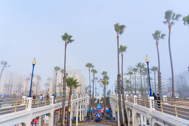 Oceanside, California - January 3, 2025: Foggy morning view of Oceanside Municipal Pier, featuring Tin Fish restaurant, lined with palm trees, capturing a serene coastal atmosphere.