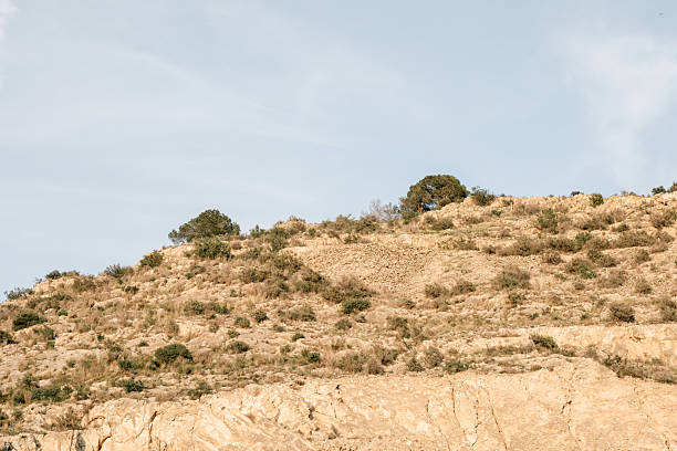 Arid landscape with rocky hillside and sparse vegetation under clear sky.