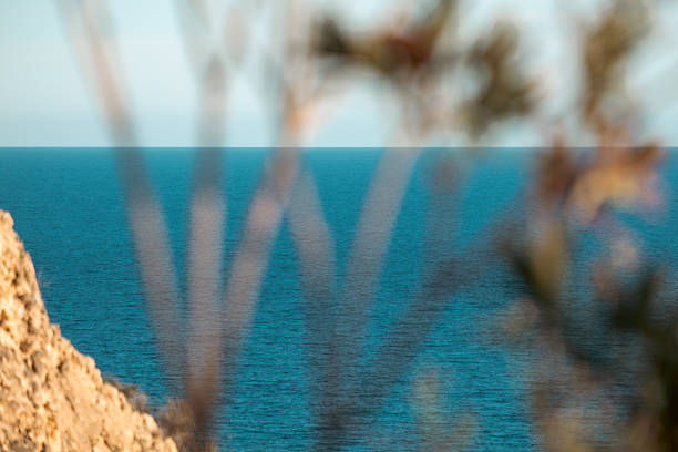 Tranquil coastal scene with blurred foreground and serene blue sea horizon.