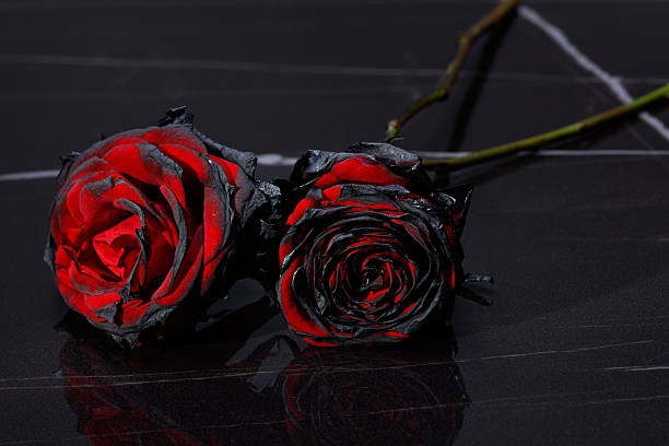 istock Burnt roses on a balck marble tombstone. 2208292616