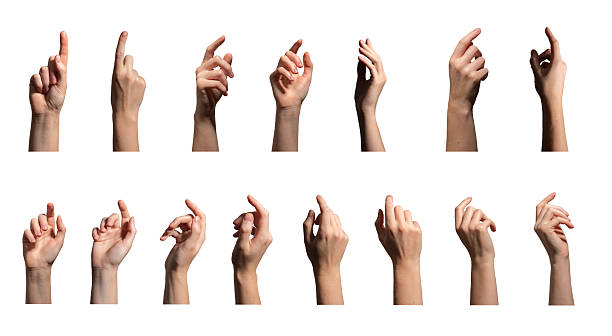 istock Arm gesture collection. Female hand showing different finger movements, index pointing, touching, 2208296606